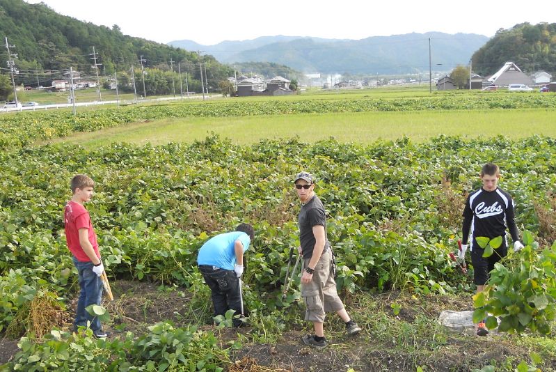 immigrant labor